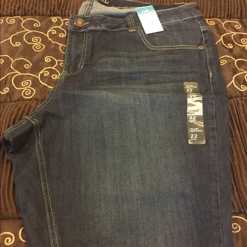 Rue 21 Jeggings Dark Wash Plus Size 22 Short